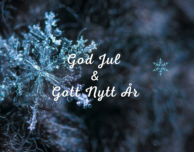 God Jul & Gott Nytt År önskar vi på Guldsmedshuset